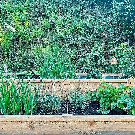 Przystanek Gory Oda ve Kahvaltı 3*