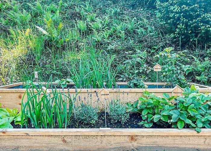 Przystanek Gory Oda ve Kahvaltı 3*